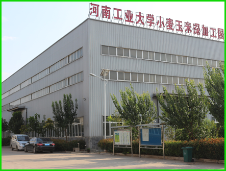 河南国产麻豆精品免费人成网站糧油機械有限公司